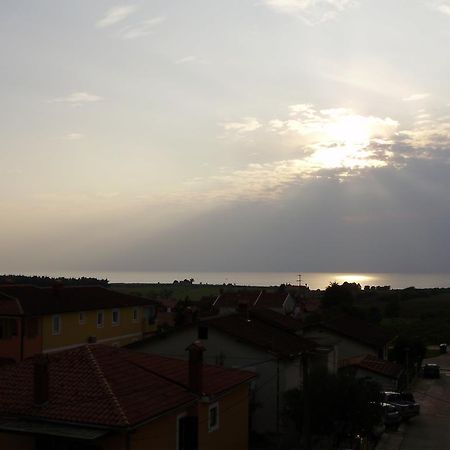 Apartments Tenerifa Novigrad Istria 외부 사진