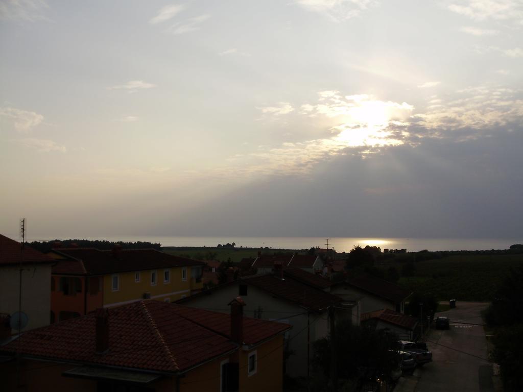 Apartments Tenerifa Novigrad Istria 외부 사진